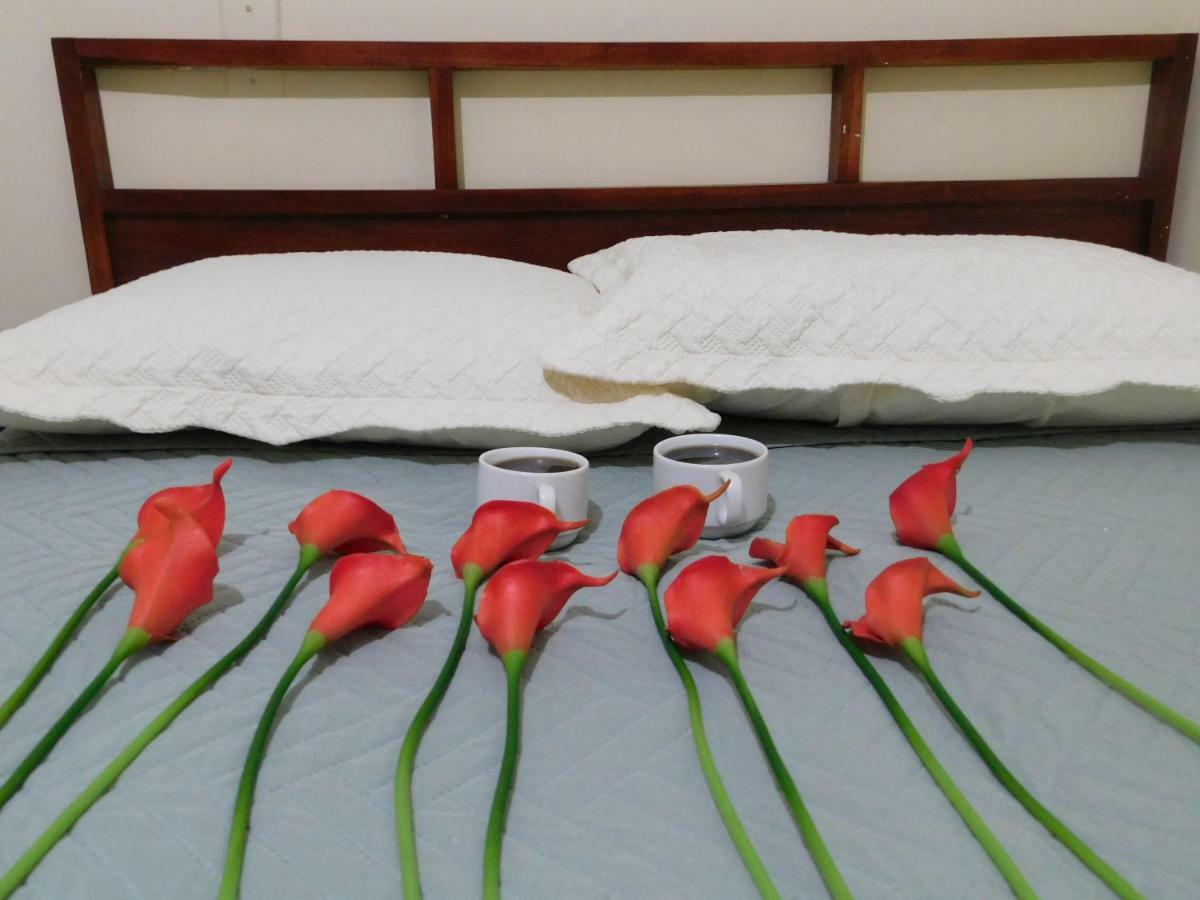 Hotel Meson De Maria Antiguo Cuscatlán Eksteriør billede